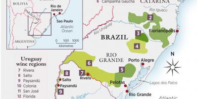 지도 우루과이의 와인